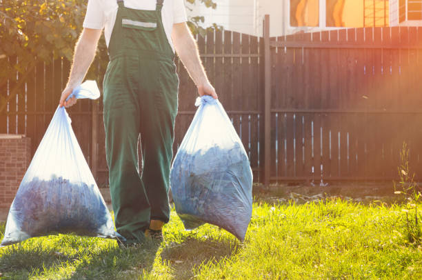 Best Construction Debris Removal  in Laingsburg, MI