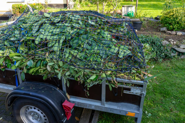 Best Hoarding Cleanup  in Laingsburg, MI
